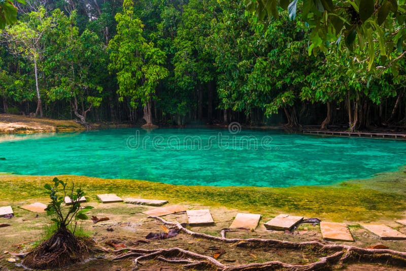 Piękny szmaragdowy basen jest popularnym miejscem w Krabi dla odwiedzać fotografia royalty free Piękny szmaragdowy basen jest popularnym miejscem w Krabi dla odwiedzać fotografia royalty free