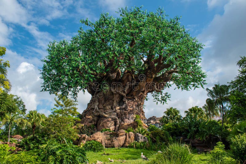 PiÄ™kny widok drzewa życia na Animal Kingdom na Walt Disney World area 3 zdjęcia royalty free