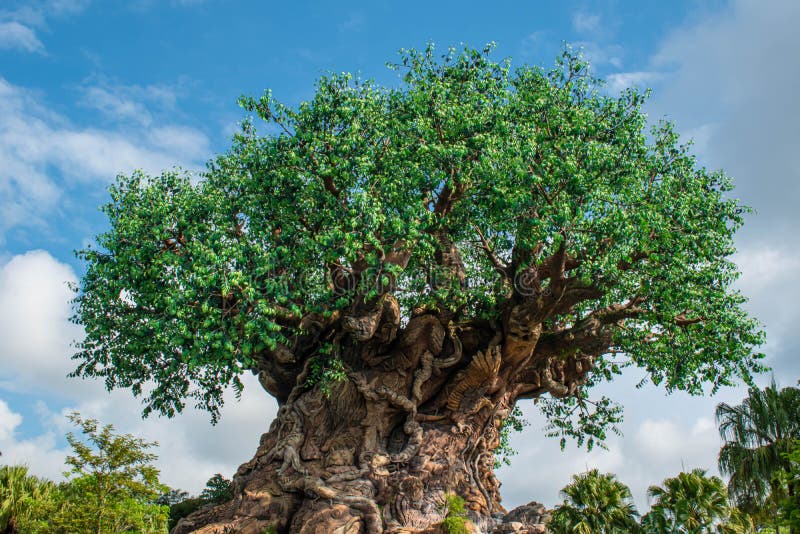 PiÄ™kny widok drzewa życia na Animal Kingdom na Walt Disney World area 1 obrazy royalty free