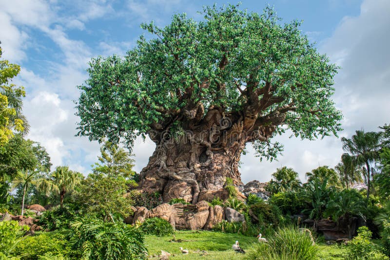 PiÄ™kny widok drzewa życia na Animal Kingdom na Walt Disney World area 2 zdjęcia royalty free