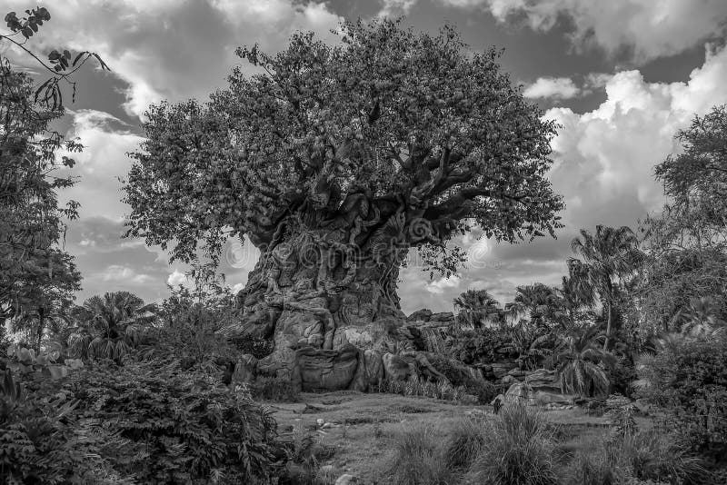Piękny widok drzewa życia w gimnazjum Zwierzęcym w rejonie Walt Disney World fotografia royalty free