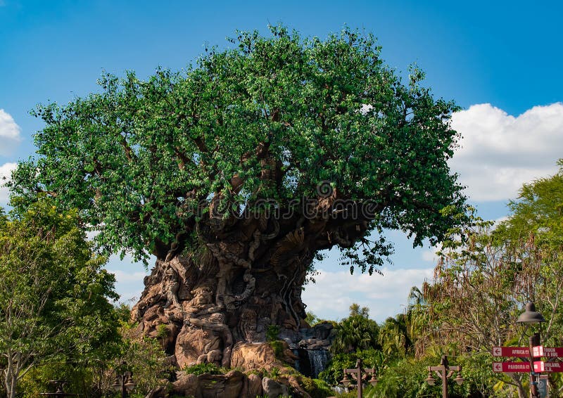 Piękny widok drzewo życie przy Zwierzęcym królestwem przy Walt Disney World terenem 3 zdjęcie stock