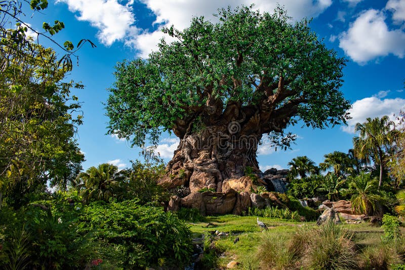 Piękny widok drzewo życie przy Zwierzęcym królestwem przy Walt Disney World terenem 6 obrazy stock