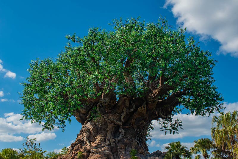 Piękny widok drzewo życie przy Zwierzęcym królestwem przy Walt Disney World terenem 5 fotografia stock