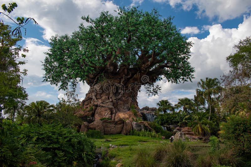 Piękny widok drzewo życie przy Zwierzęcym królestwem przy Walt Disney World terenem 2 obrazy stock