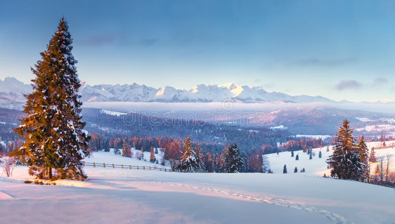 Piękny zimy landscape poland zakopane zdjęcia stock Piękny zimy landscape poland zakopane zdjęcia stock