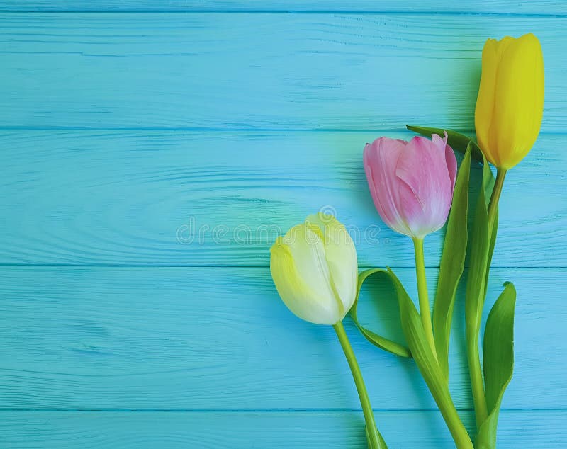 Pięknych świeżych piękno tulipanów romantyczny świętowanie na drewnianym, miejsce dla teksta zdjęcia royalty free Pięknych świeżych piękno tulipanów romantyczny świętowanie na drewnianym, miejsce dla teksta zdjęcia royalty free