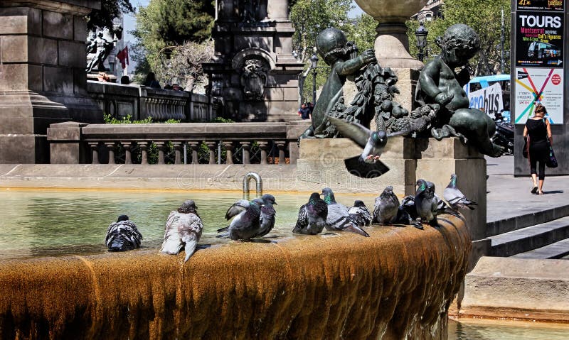 Plaasect a de catalunya catalonia square sau plaza de cataluaplusmn a with water fountain pigeons sculptions architecture in barce stock photos