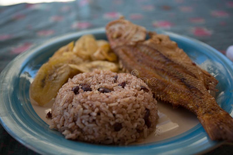 Placa de jantar azul que mostra o arroz, feijões, peixes, estilo do garifuna pronto para ser servido fotos de stock Placa de jantar azul que mostra o arroz, feijões, peixes, estilo do garifuna pronto para ser servido fotos de stock