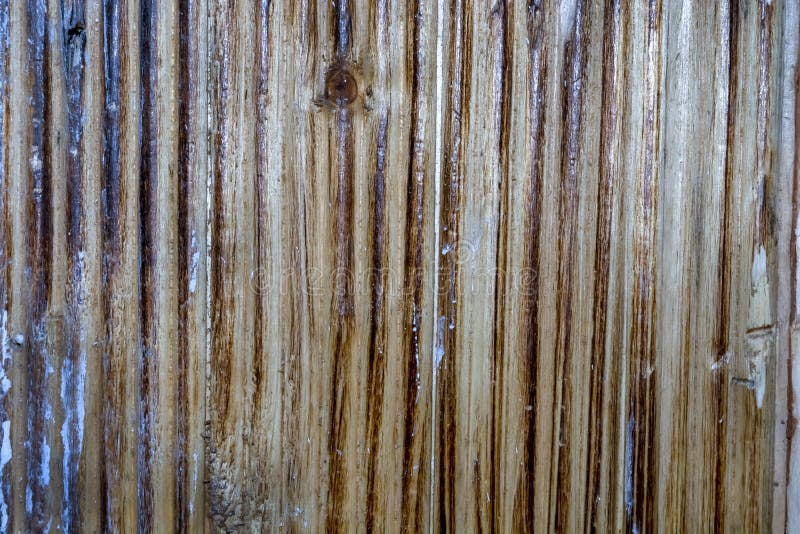 Placa de madeira clara do fundo da textura para o projeto foto de stock royalty free Placa de madeira clara do fundo da textura para o projeto foto de stock royalty free