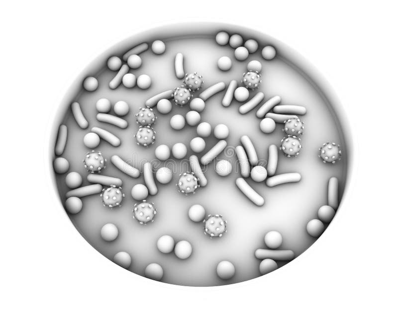 Placa de Petri con los microbios