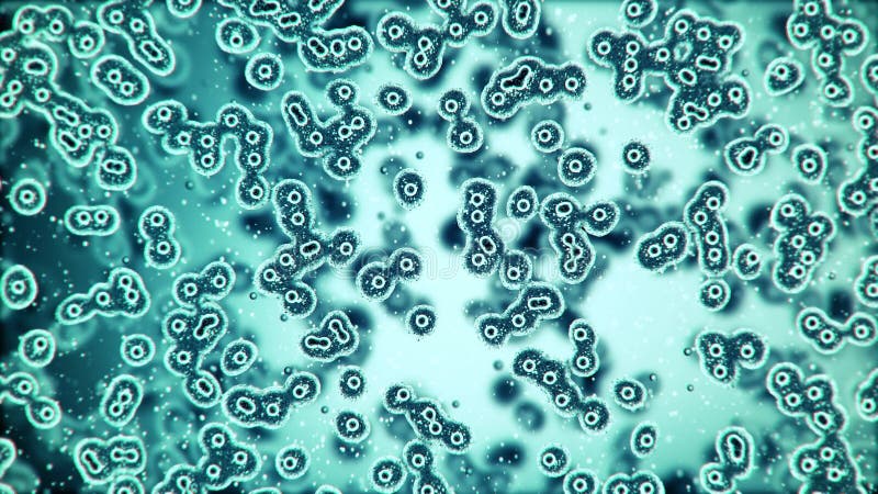 Placa microscópica das bactérias que multiplicam-se ilustração do vetor Placa microscópica das bactérias que multiplicam-se ilustração do vetor