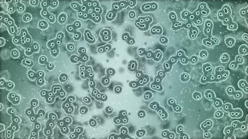 Placa microscópica de las bacterias que se multiplican