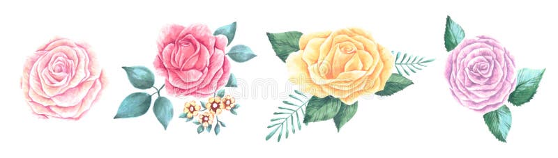 Placez des belles fleurs de bouquets des roses de floraison de pêche rouge, rose et douce avec des feuilles et des bourgeons Fond illustration stock Placez des belles fleurs de bouquets des roses de floraison de pêche rouge, rose et douce avec des feuilles et des bourgeons Fond illustration stock