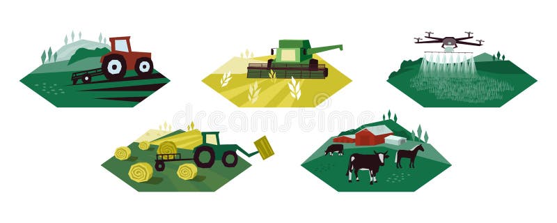 Set of agriculture activity illustrations. Icons of irrigation tractor, farm animals, combine harvester, drone. Vector for farming livestock, dairy industry. Cultivated and plowed land, cow, hay field. Set of agriculture activity illustrations. Icons of irrigation tractor, farm animals, combine harvester, drone. Vector for farming livestock, dairy industry. Cultivated and plowed land, cow, hay field