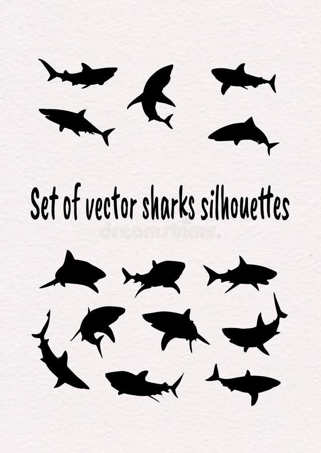 Placez des silhouettes de requins de vecteur illustration stock Placez des silhouettes de requins de vecteur illustration stock