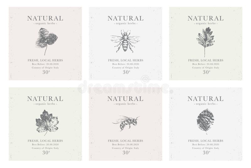 Placez du label personnalisable de cru des produits de fines herbes organiques naturels illustration de vecteur Placez du label personnalisable de cru des produits de fines herbes organiques naturels illustration de vecteur