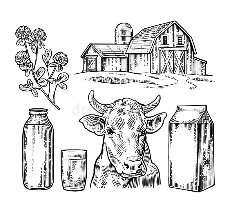 Placez la ferme de lait Effrayez la tête, le trèfle, le paquet de carton de boîte, le verre et la bouteille illustration stock Placez la ferme de lait Effrayez la tête, le trèfle, le paquet de carton de boîte, le verre et la bouteille illustration stock