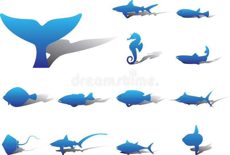 Set icons - 11A. Fish. Set of 13 round vector icons for web. Set icons - 11A. Fish. Set of 13 round vector icons for web