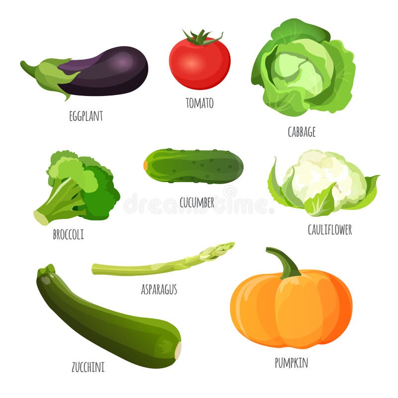 placez les légumes Aubergine, tomate, chou, brocoli, concombre, chou-fleur, potiron, courgette illustration de vecteur placez les légumes Aubergine, tomate, chou, brocoli, concombre, chou-fleur, potiron, courgette illustration de vecteur