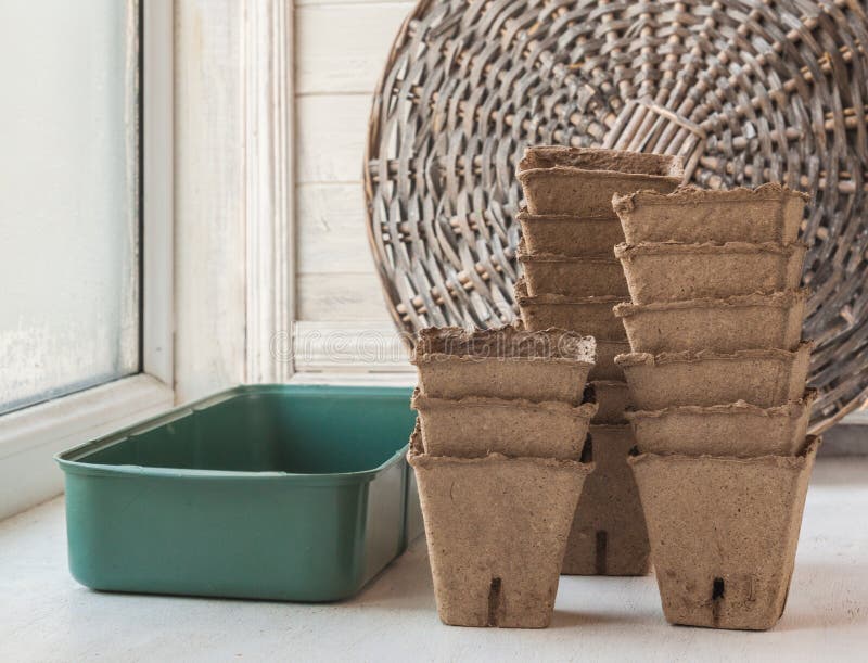 Placez pour les jeunes plantes grandissantes sur une fenêtre images stock Placez pour les jeunes plantes grandissantes sur une fenêtre images stock