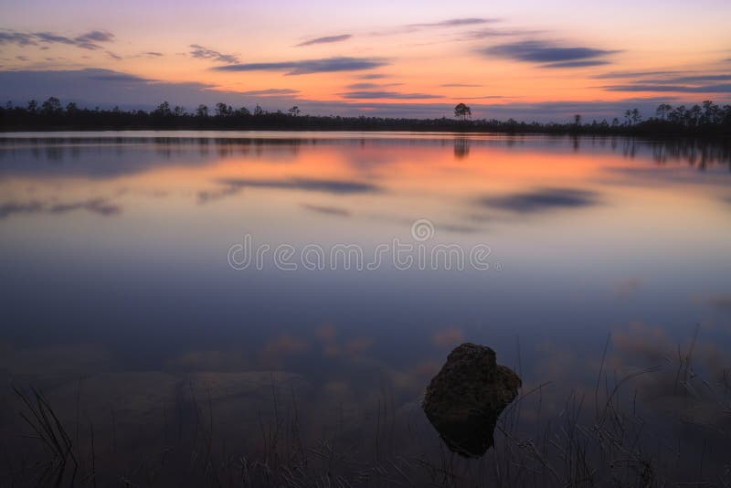 Placid Pond