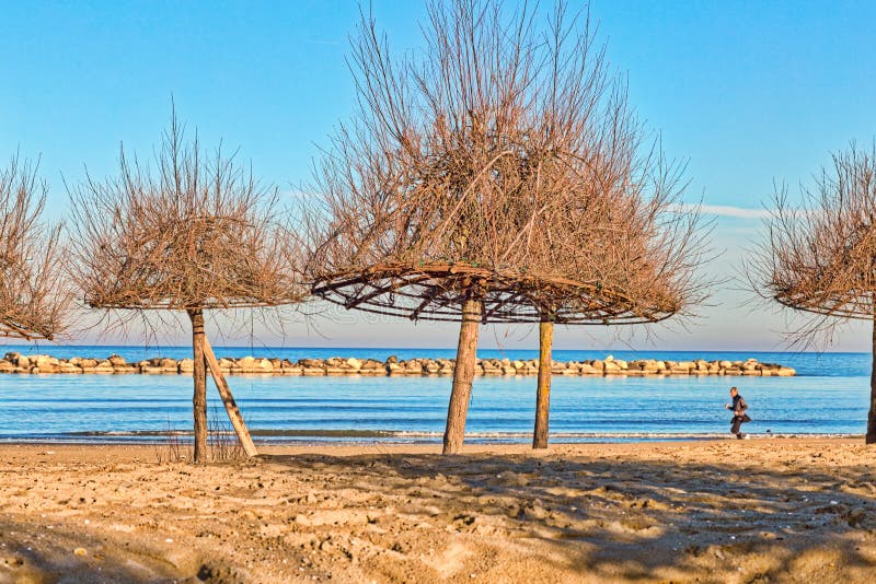 Plage Avec Des Arbres De Tamaris En Italie Image - Image du nature, homme: 107472369