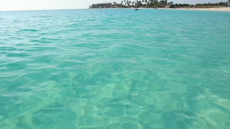 Plage blanche de sable de beauté étonnante d'île d'Aruba Eau de mer de turquoise et ciel bleu