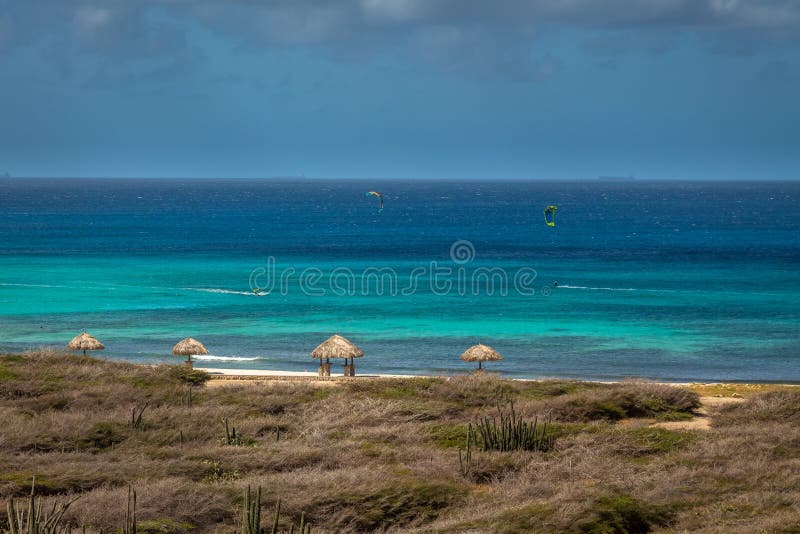 Plage d'Aruba Eagle photo libre de droits Plage d'Aruba Eagle photo libre de droits