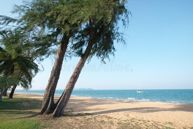  Plage  De Cherating  Kuantan Malaisie Image stock Image 