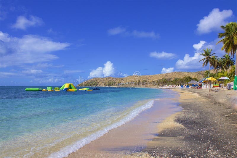 Plage de coquille de coque dans St Kitts, la Cara?be image stock Plage de coquille de coque dans St Kitts, la Cara?be image stock