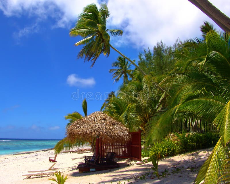 Download Plage de détente photo stock. Image du centrales, paradis - 91328