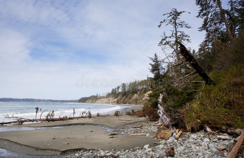 Plage de Florencia photographie stock Plage de Florencia photographie stock