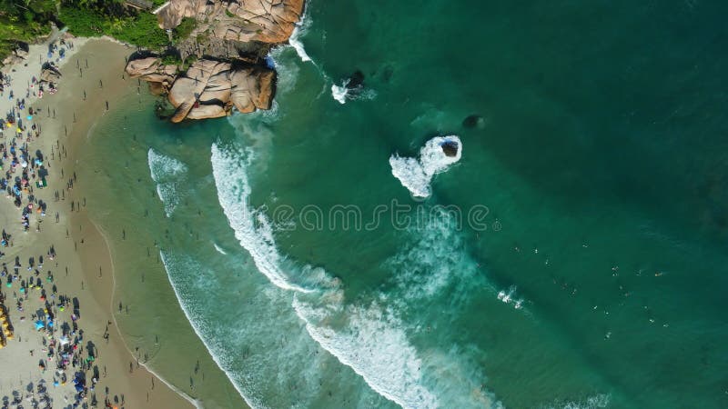 Plage de joaquina avec vagues au brésil. vue aérienne de la plage populaire à florianopolis banque de vidéos