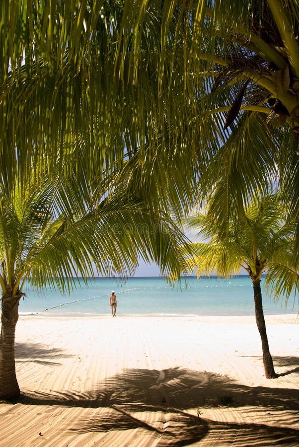 Plage de la Jamaïque image stock Plage de la Jamaïque image stock