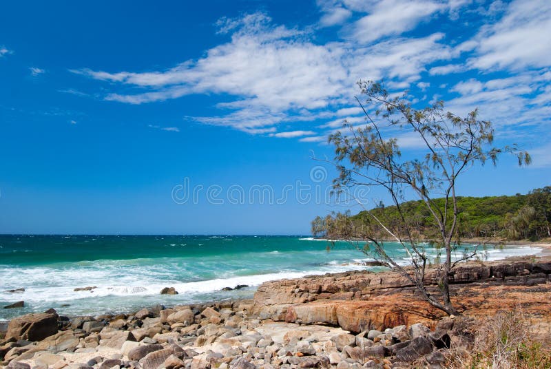 Plage de Noosa - Queendsland - Australie images libres de droits Plage de Noosa - Queendsland - Australie images libres de droits