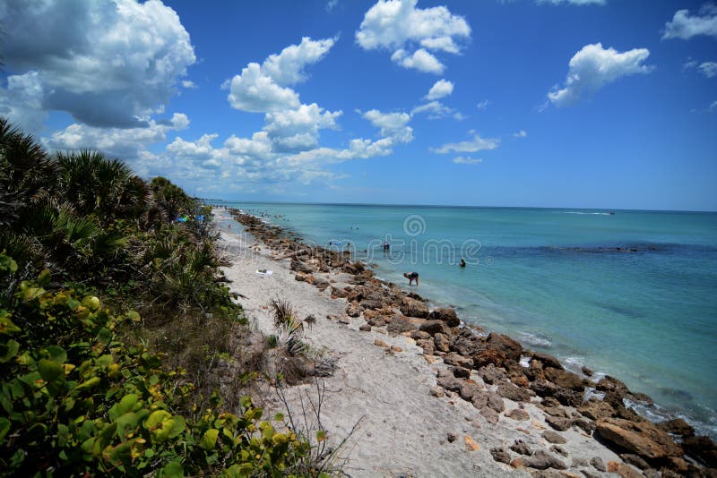 Plage de Venise courbe images stock Plage de Venise courbe images stock
