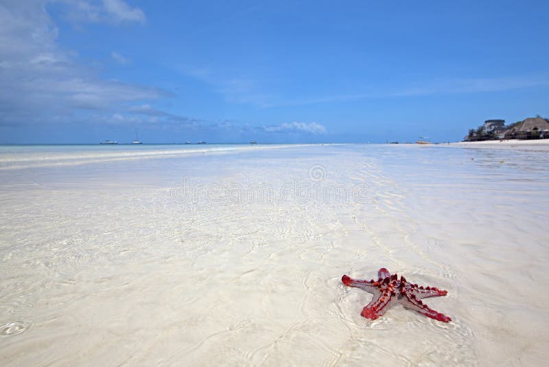 Plage de Zanzibar images stock Plage de Zanzibar images stock