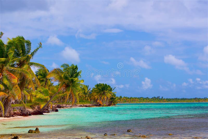 Plage dramatique dans les Caraïbe avec les palmiers et le sable blanc photographie stock libre de droits Plage dramatique dans les Caraïbe avec les palmiers et le sable blanc photographie stock libre de droits