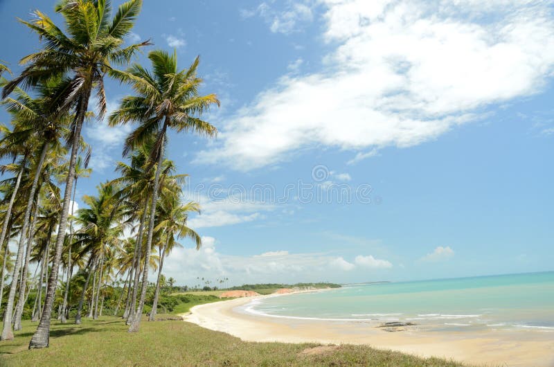 Plage du Brésil photos stock Plage du Brésil photos stock