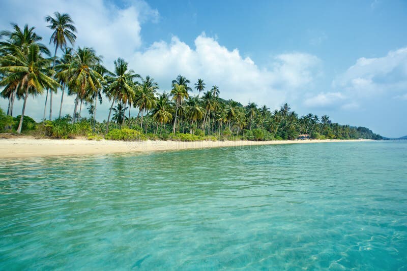 Plage et cocotiers tropicaux en Koh Samui, Thaïlande image libre de droits Plage et cocotiers tropicaux en Koh Samui, Thaïlande image libre de droits