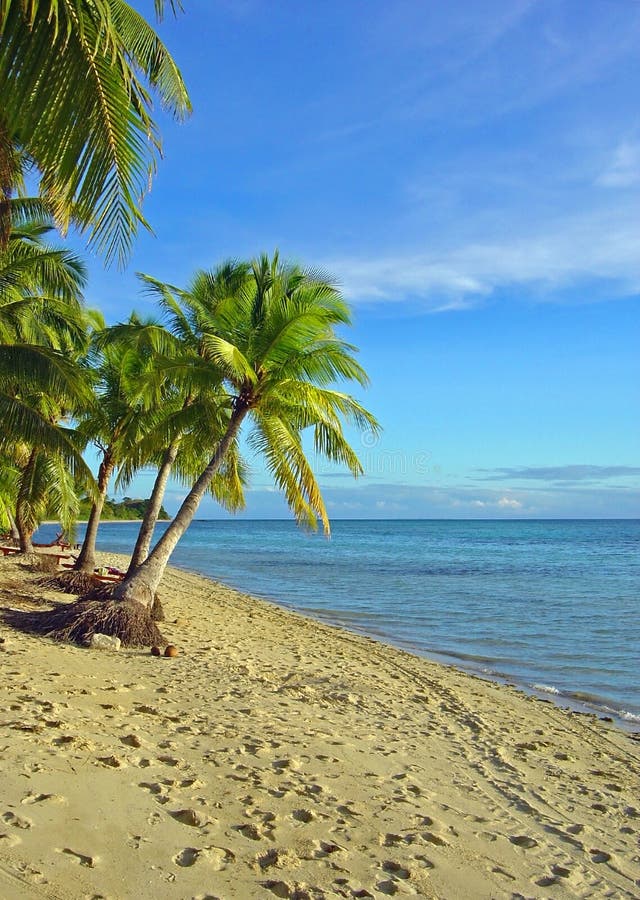 Plage et palmiers de Fijian