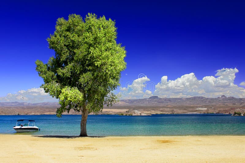 Plage Nevada de Mohave de lac photos libres de droits Plage Nevada de Mohave de lac photos libres de droits