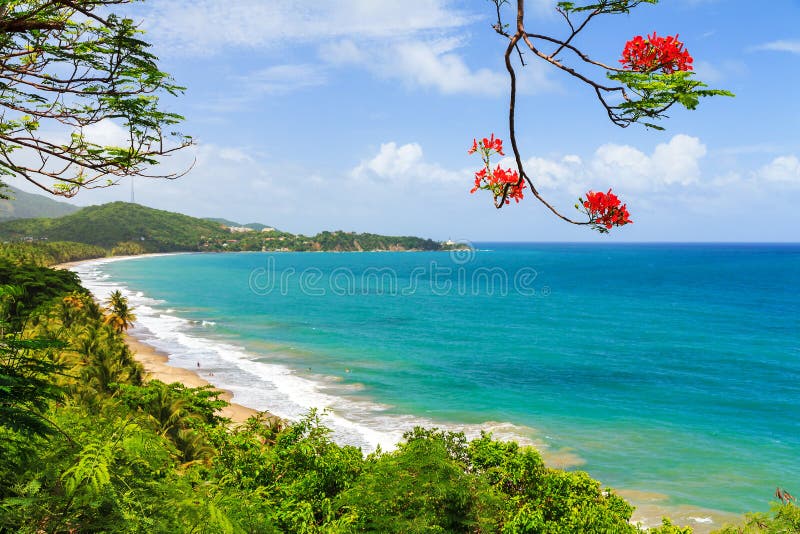Plage Porto Rico d'été photographie stock libre de droits Plage Porto Rico d'été photographie stock libre de droits