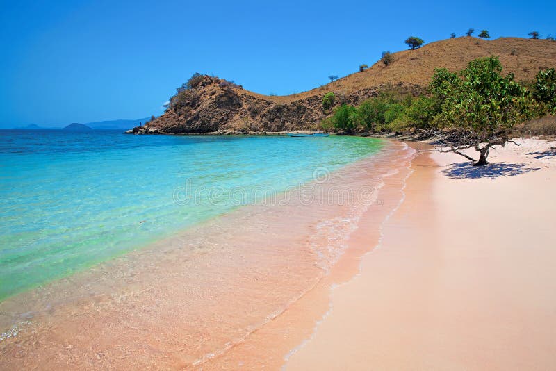 Plage rose photographie stock Plage rose photographie stock
