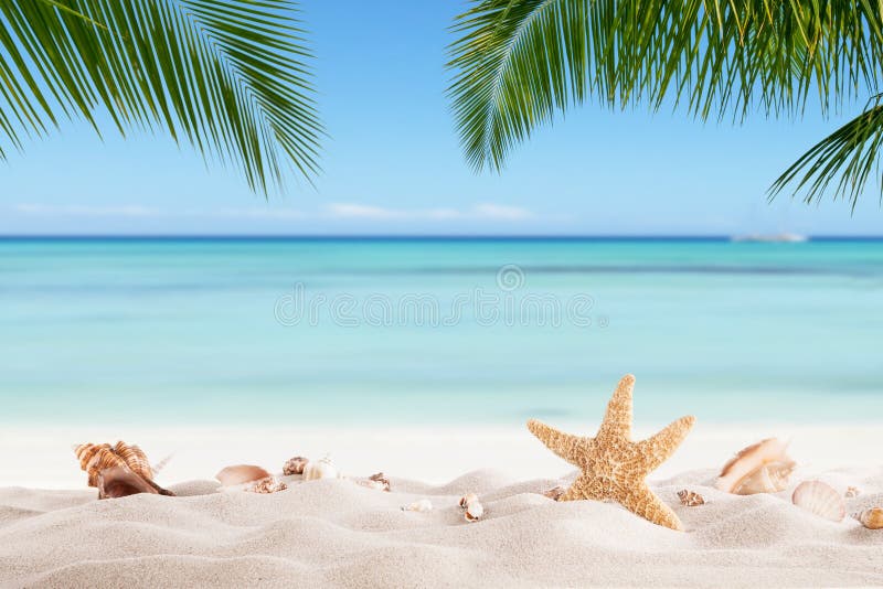 Plage sablonneuse d'été avec l'océan de tache floue sur le fond photos libres de droits Plage sablonneuse d'été avec l'océan de tache floue sur le fond photos libres de droits