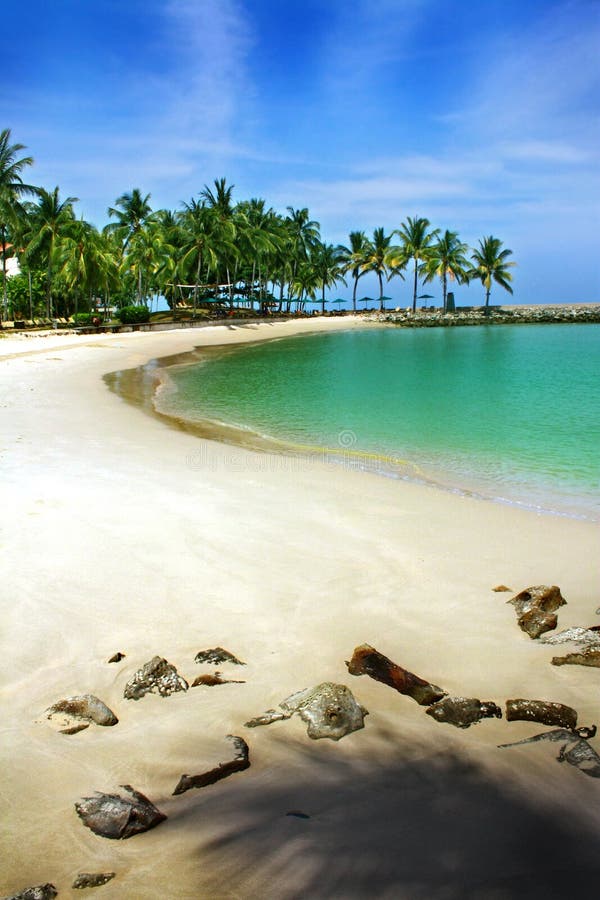 Plage tropicale image libre de droits Plage tropicale image libre de droits