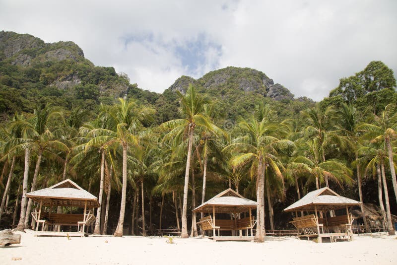 Plage tropicale image stock Plage tropicale image stock