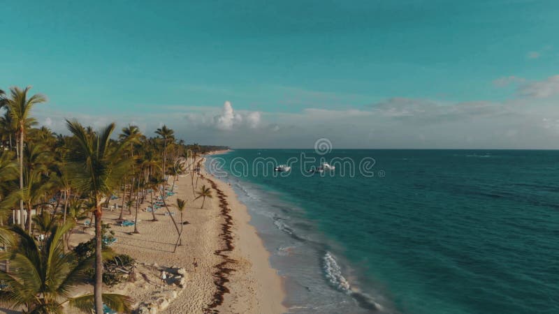 Plage tropicale avec palmiers illustration libre de droits