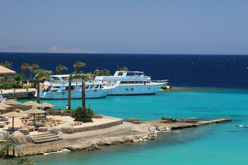 Plage tropicale en Egypte Plage tropicale en Egypte